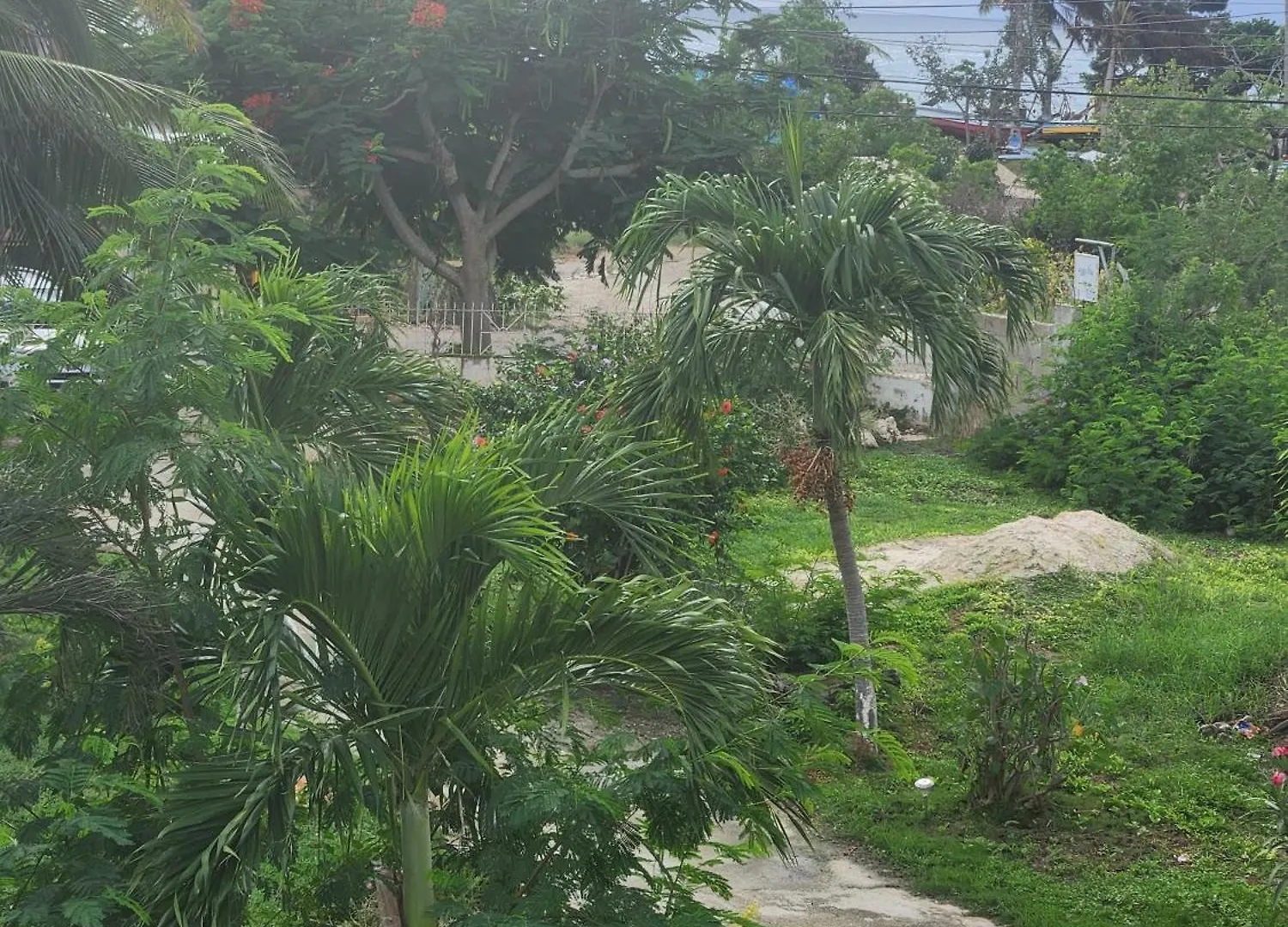 Coconut Cottage Treasure Beach Guest house
